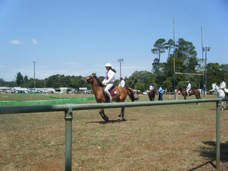 Mount Molloy QLD 4871