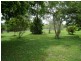 Mount Molloy QLD 4871
