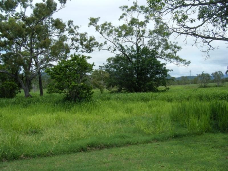 Mount Molloy QLD 4871