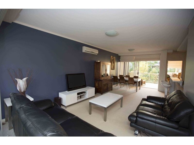 43 Love Street, Bulimba QLD 4171