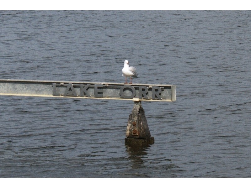 Varsity Lakes QLD 4227