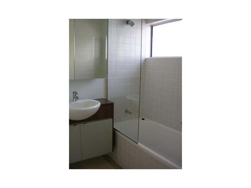 43 Love Street, Bulimba QLD 4171