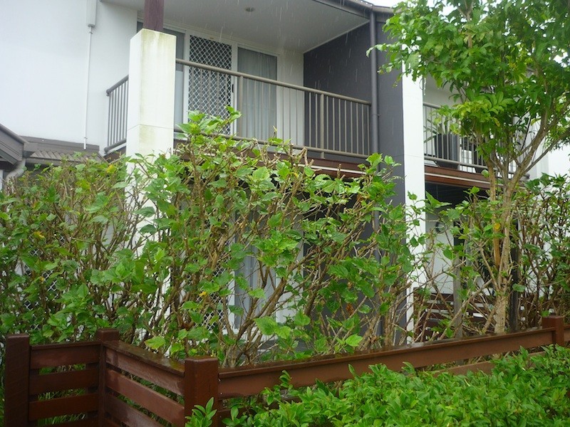 34/80 McIntyre St,, Hendra QLD 4011