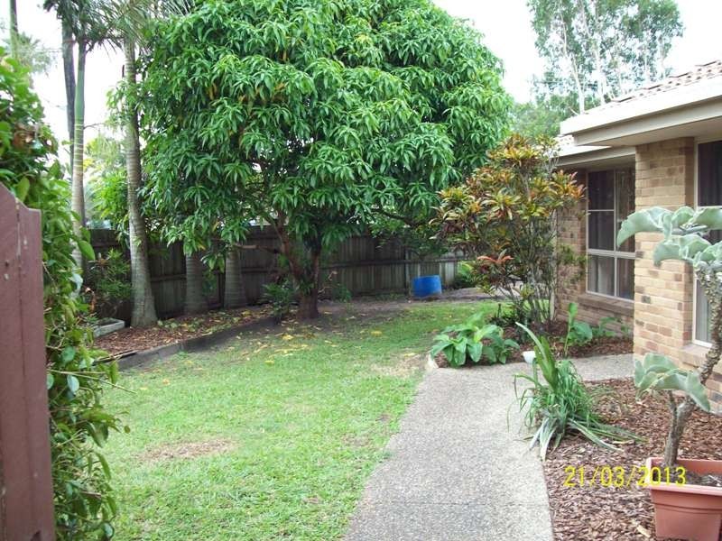 631 David Low Way, Pacific Paradise QLD 4564