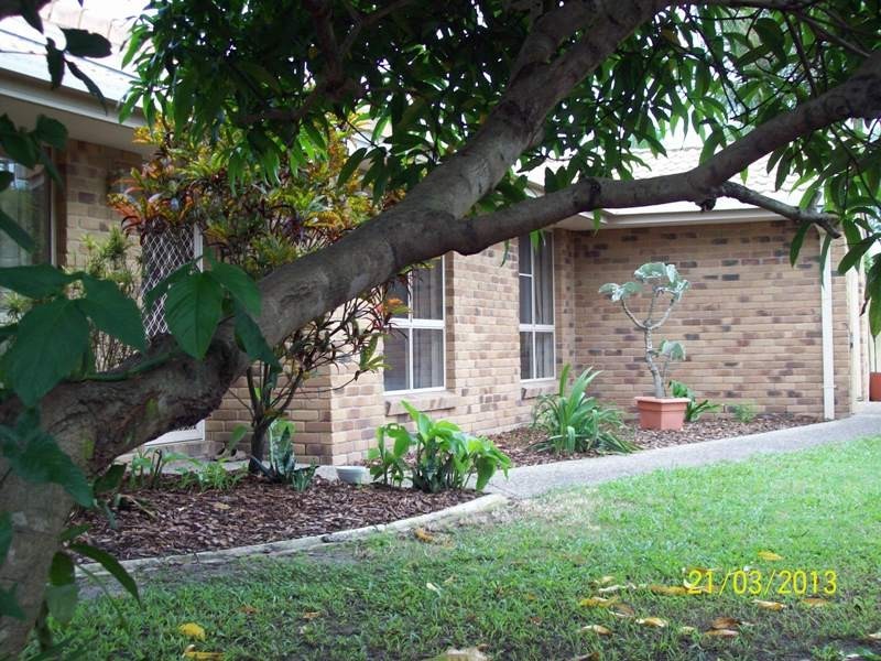 631 David Low Way, Pacific Paradise QLD 4564