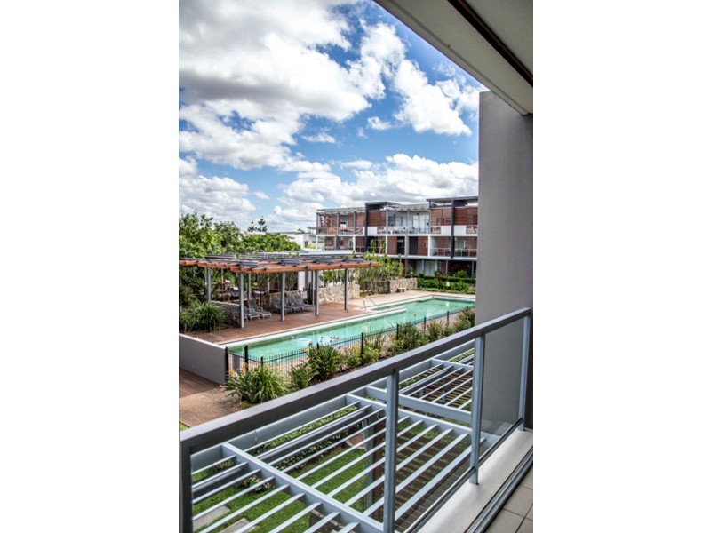 14/43 Love Street, Bulimba QLD 4171