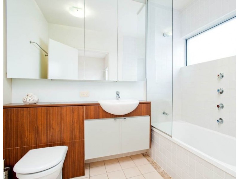 43 Love Street, Bulimba QLD 4171