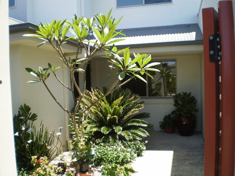 37 Wagner Road, Murrumba Downs QLD 4503