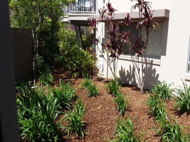 4/19 Carina Peak Drive, Varsity Lakes QLD 4227