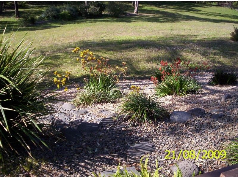 93 Ray Booker Court, Kobble Creek QLD 4520