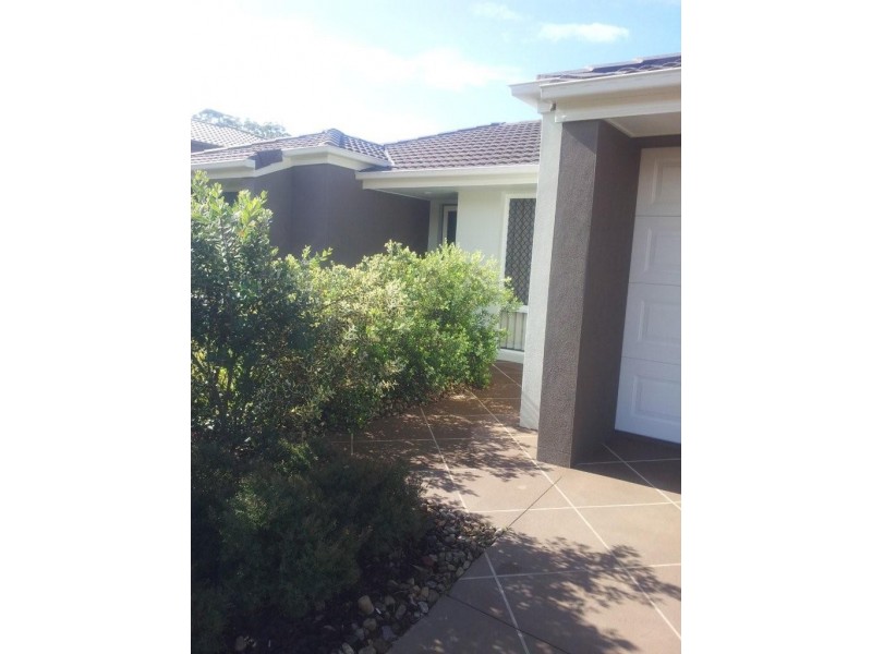 39 Kingsmill Ct, Peregian Springs QLD 4573