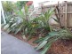 83 Dibar Street, Wynnum QLD 4178