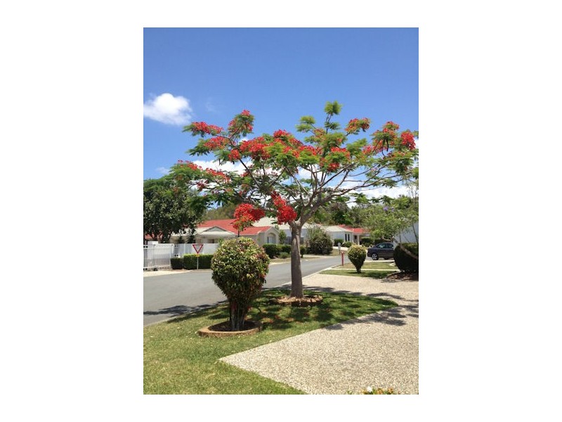 29 Ellis Dr, Mudgeeraba QLD 4213