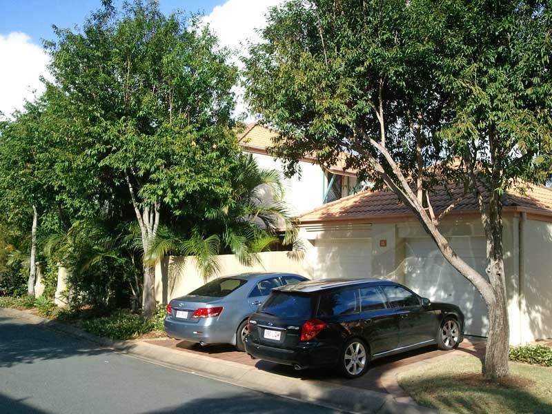 25/101 Coutts Street, Bulimba QLD 4171