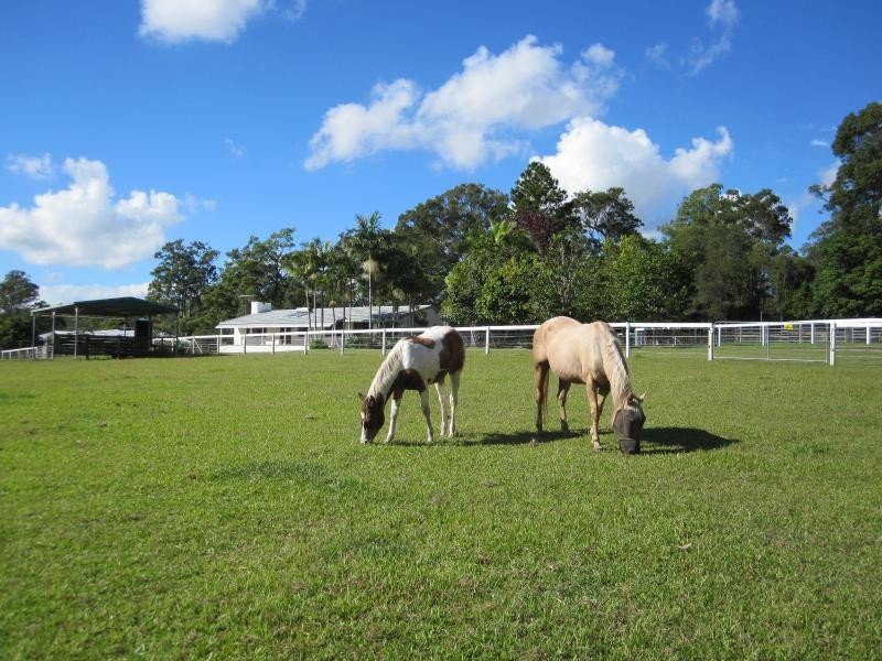 47 Ruffles Road, Willow Vale QLD 4209