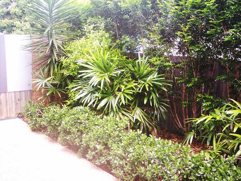 4/3236 Mount Lindesay Highway, Browns Plains QLD 4118