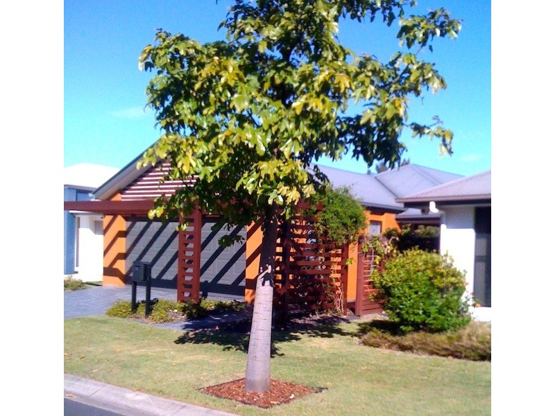 16/80 McIntyre St,, Hendra QLD 4011