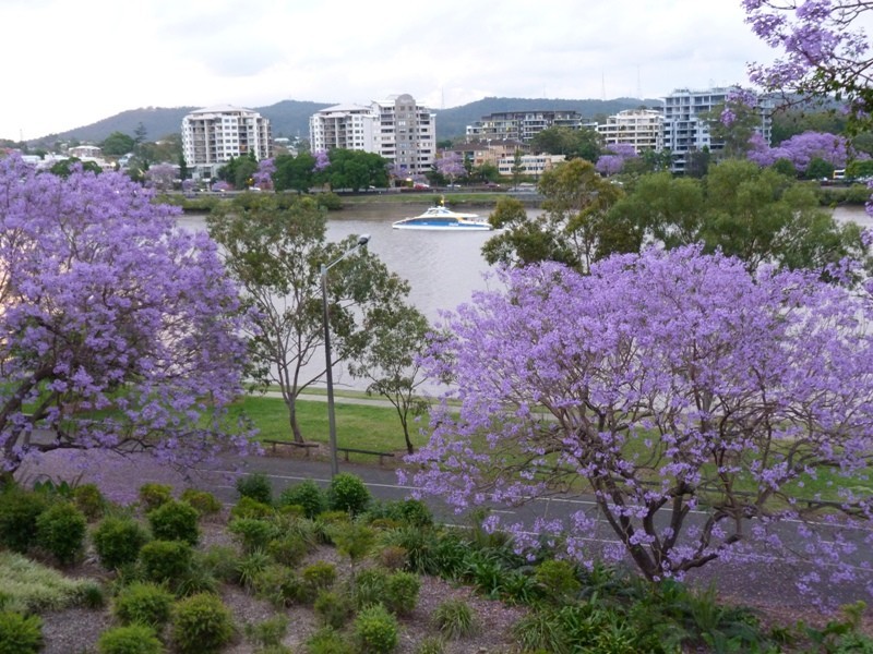 9/5 Duncan Street,, West End QLD 4101