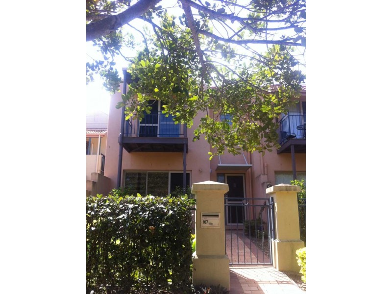 55/101 Coutts Street, Bulimba QLD 4171