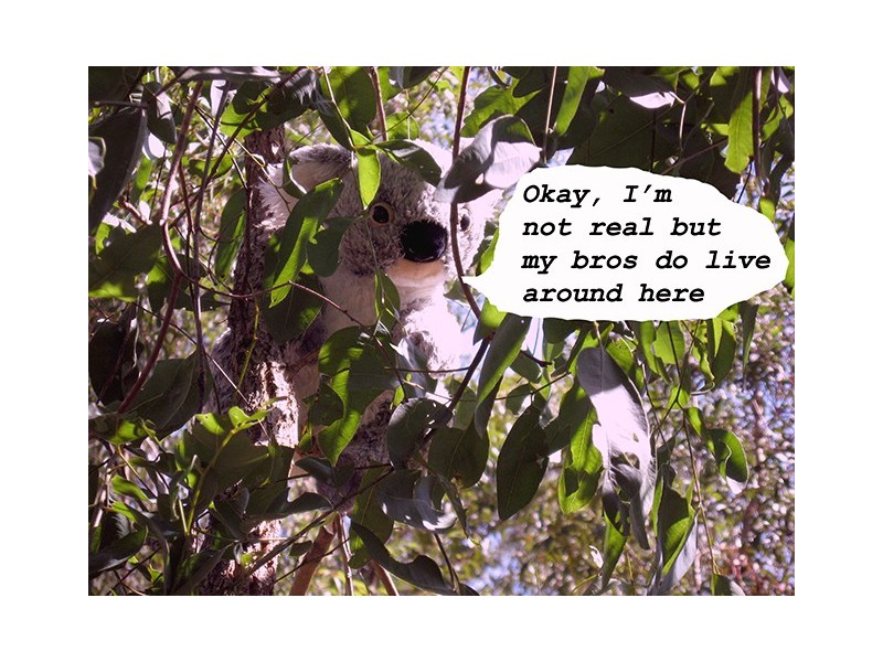 61 Eljays Road, Gympie QLD 4570