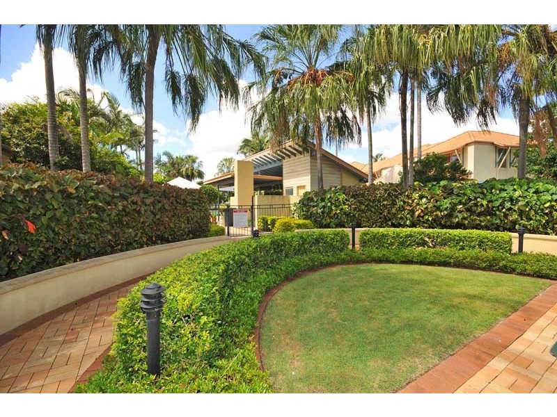 55/101 Coutts Street, Bulimba QLD 4171