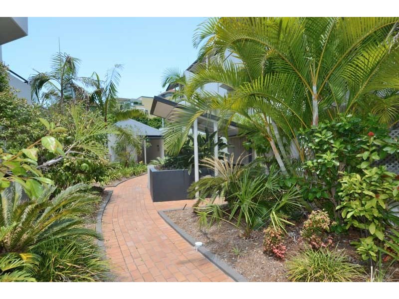 17/32-38 Newstead Terrace., Newstead QLD 4006