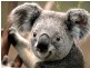 Carindale QLD 4152