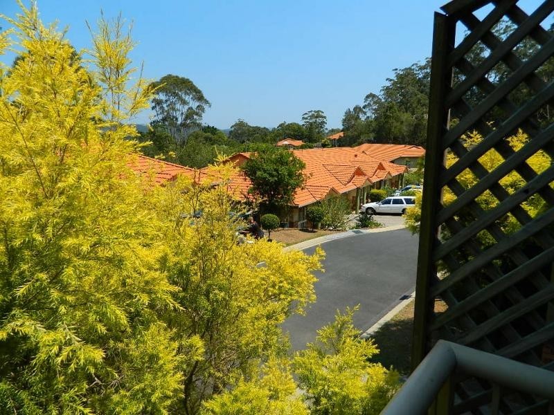 232 Guineas Creek Rd, Elanora QLD 4221