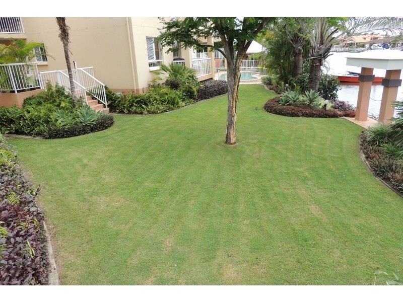 53/11-19 Taylor Street, Biggera Waters QLD 4216