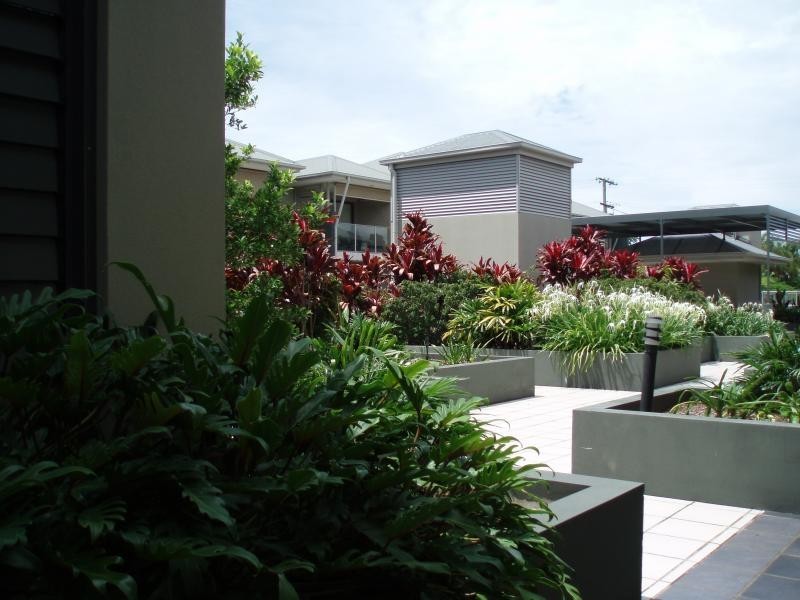 17/45 Bundall Rd, Surfers Paradise QLD 4217