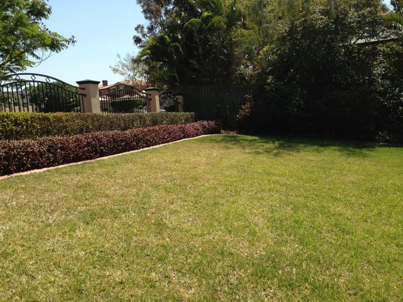 29 Monsour Street, Calamvale QLD 4116