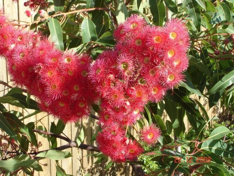 19 Kathleen Street, Richlands, Richlands QLD 4077