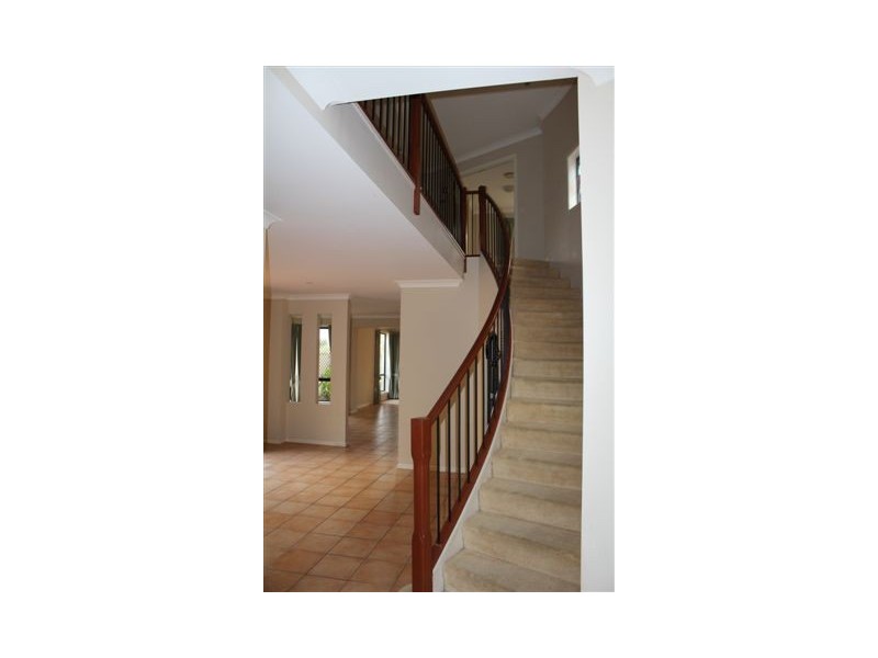 17 Palm Meadows Drive, Carrara QLD 4211