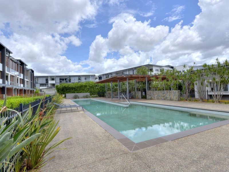 55/43 Love Street, Bulimba QLD 4171