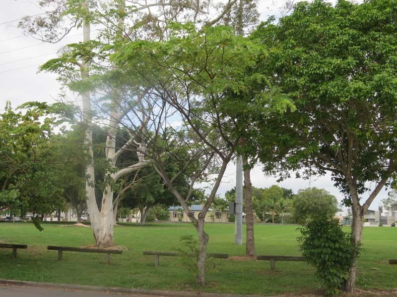 85/101 Coutts Street, Bulimba QLD 4171