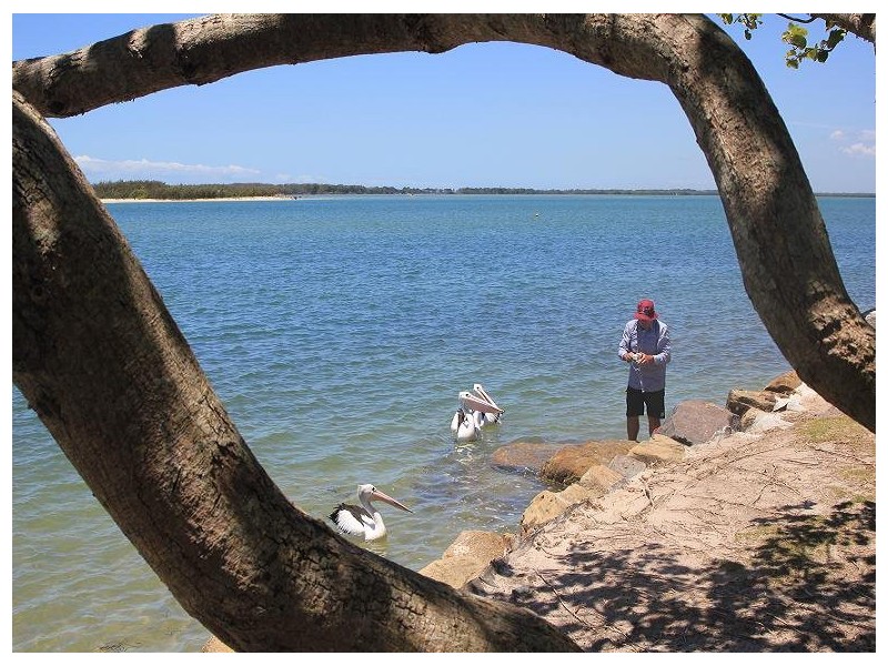 2/3 Landsborough Parade, Caloundra QLD 4551