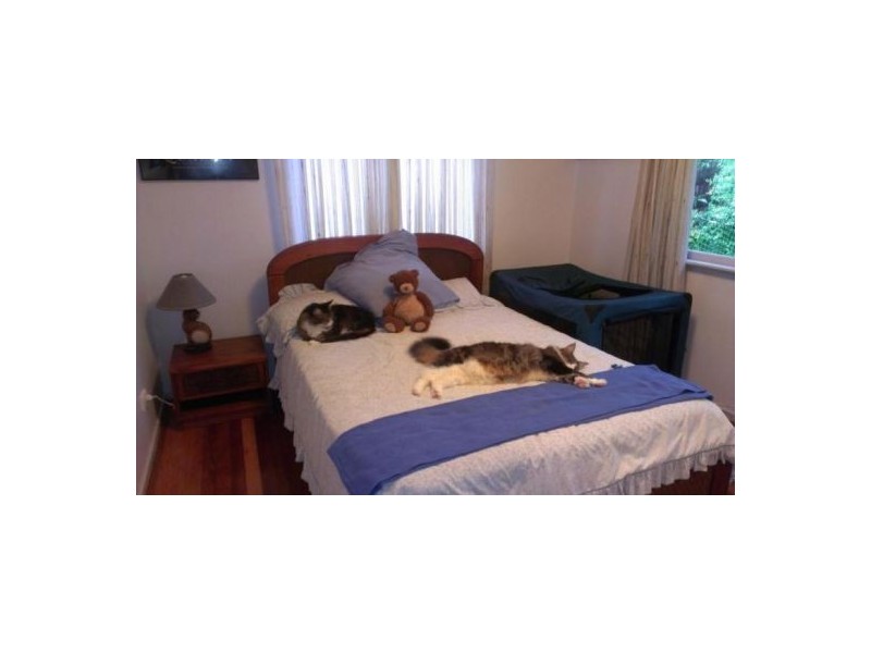 15 Dempster Street, Toowong QLD 4066