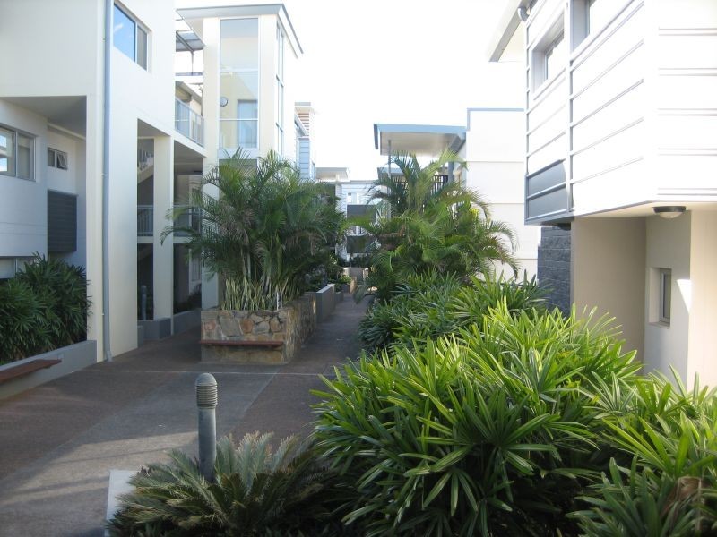 51/43 Love Street, Bulimba QLD 4171