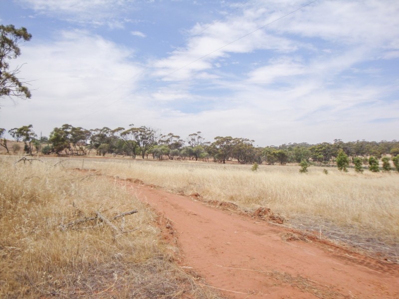 Toodyay WA 6566