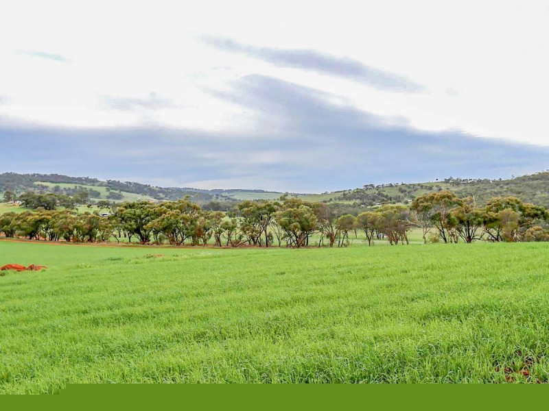 23 Phillips Road, Toodyay WA 6566