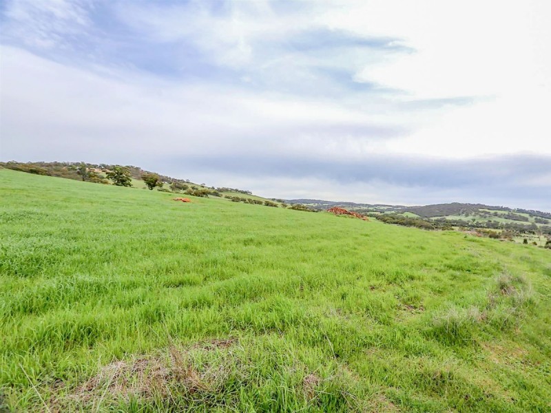 23 Phillips Road, Toodyay WA 6566