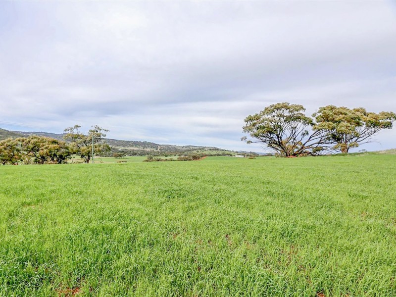 23 Phillips Road, Toodyay WA 6566
