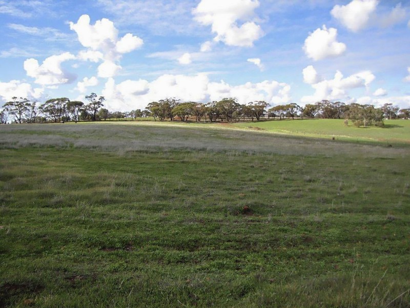 2170 Bindi Bindi Road, Toodyay WA 6566