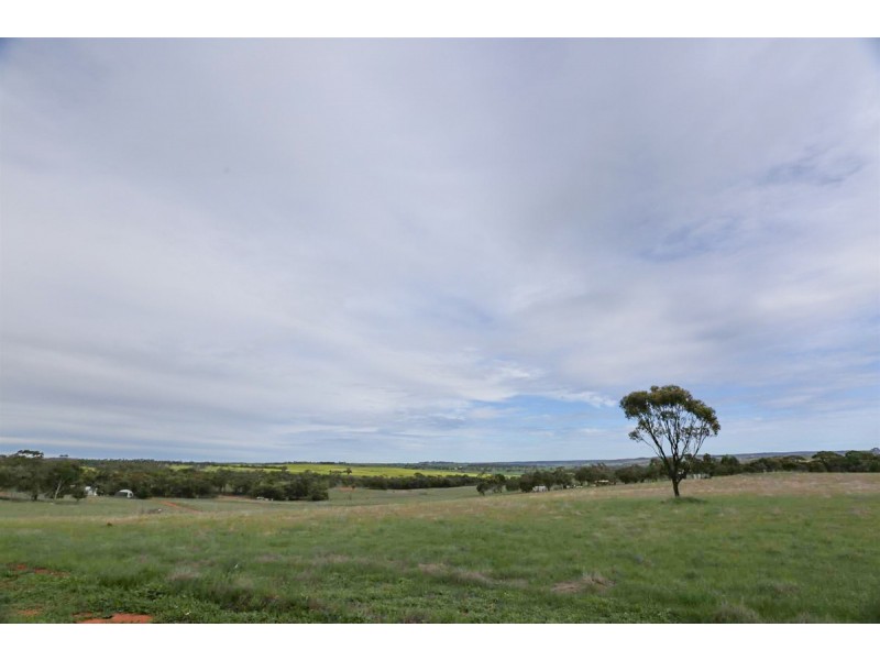 2170 Bindi Bindi Road, Toodyay WA 6566