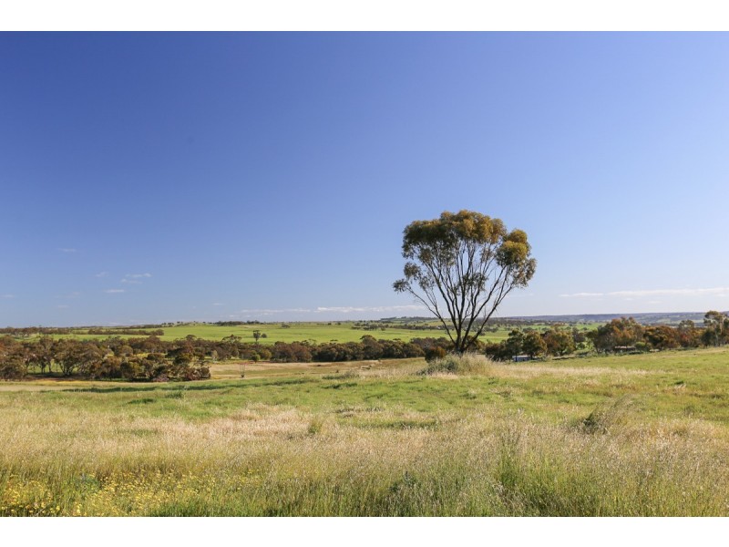 2170 Bindi Bindi Road, Toodyay WA 6566