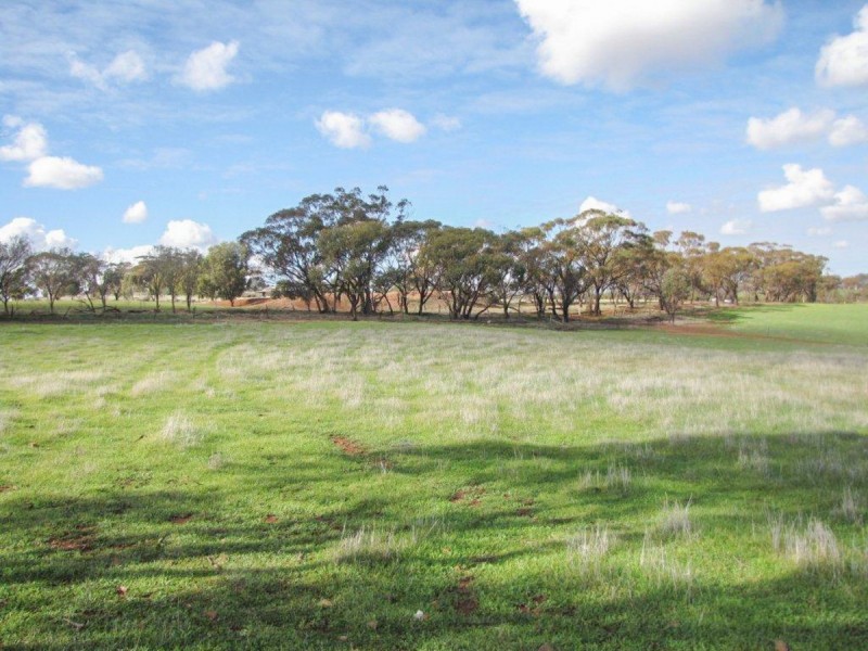 2170 Bindi Bindi Road, Toodyay WA 6566