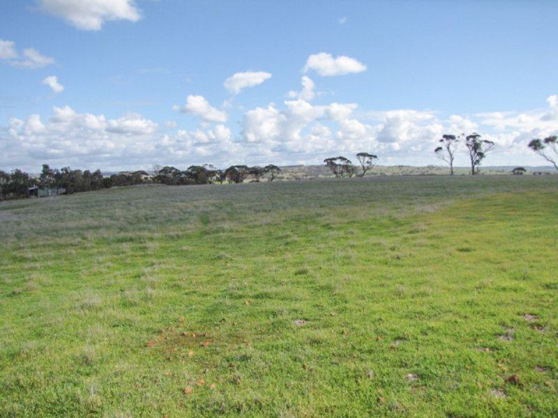 2170 Bindi Bindi Road, Toodyay WA 6566