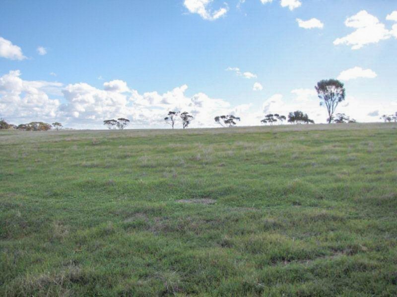 2170 Bindi Bindi Road, Toodyay WA 6566