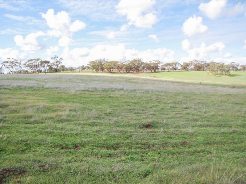 2170 Bindi Bindi Road, Toodyay WA 6566