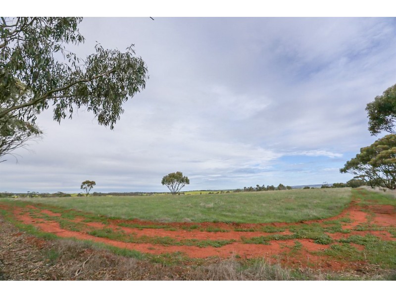 2170 Bindi Bindi Road, Toodyay WA 6566